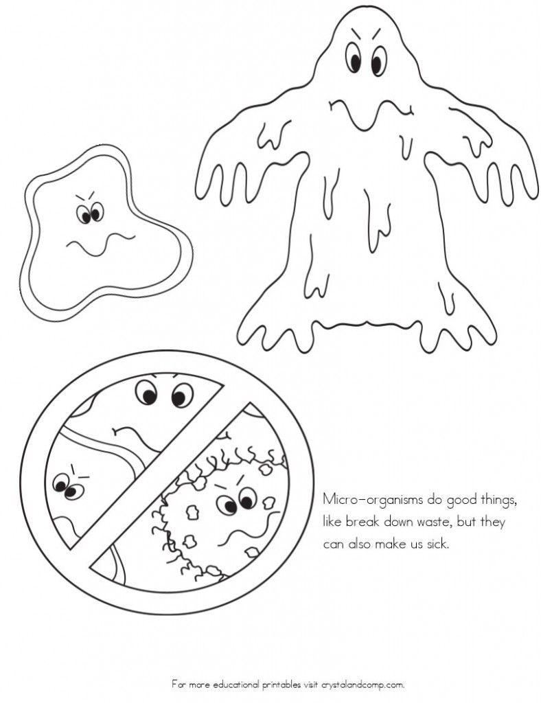 788x1024 Useful Bacteria Coloring Page No More Spreadin