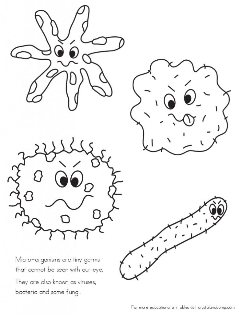 787x1024 Bacteria Coloring Page