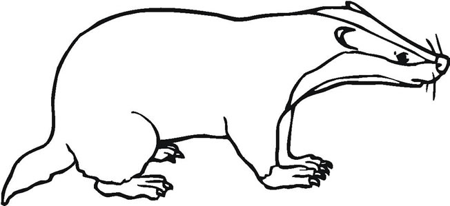 652x299 Badger Outline Sewing Room Outlines And Sewing Rooms