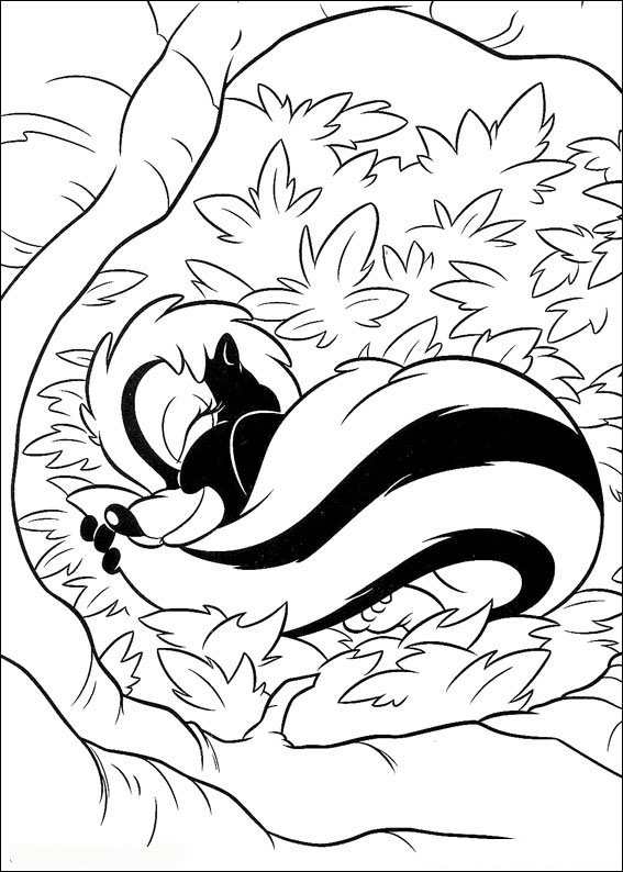 567x794 Animal Badger Coloring Page