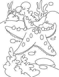 236x308 Bahamas Coloring Book Page Illustrator For Hire Marine Life