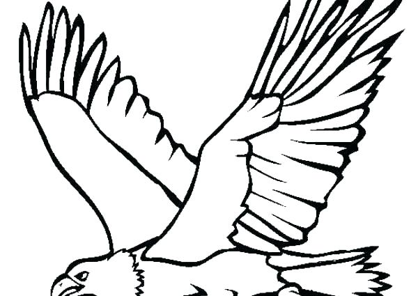 Bald Eagle Coloring Pictures Coloring Eagle Coloring Page Bald 600x425 Bald Eagle Coloring Pictures Coloring Eagle Coloring Page Bald