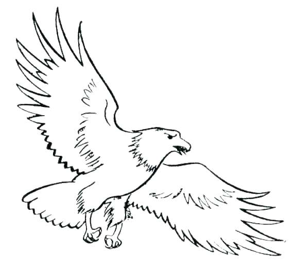 Bald Eagle Coloring Page at GetColorings.com | Free printable colorings ...