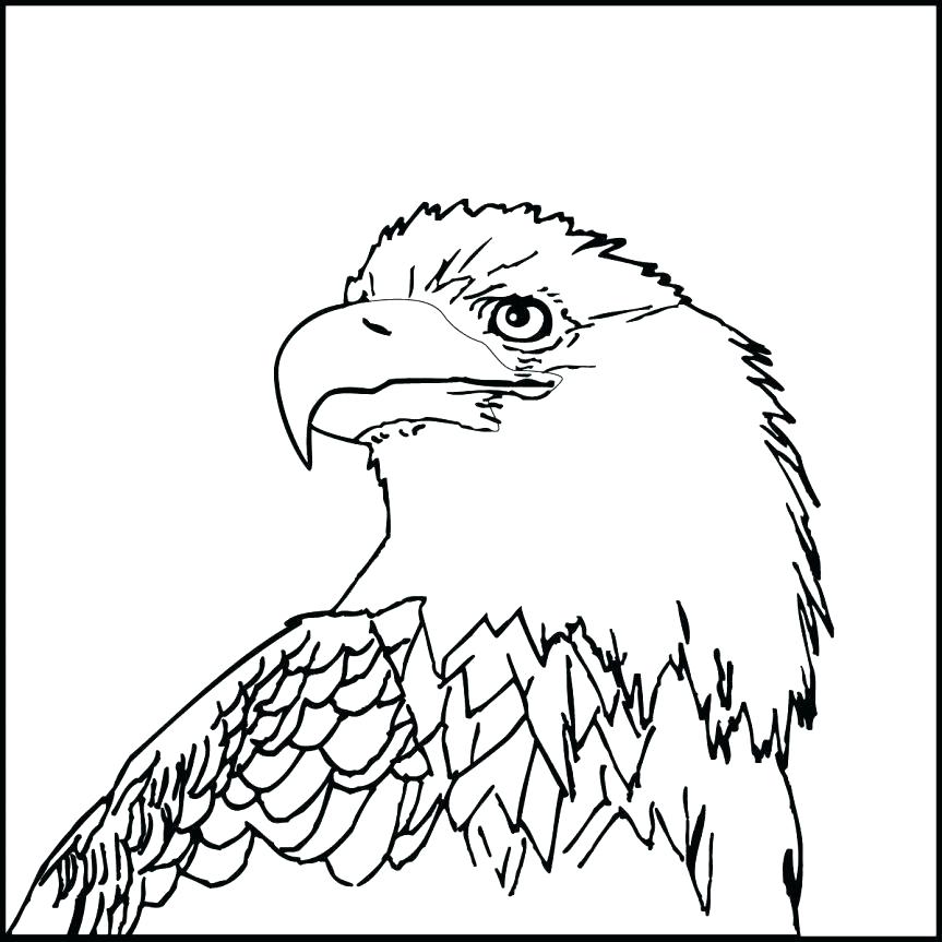 Coloring Pages Of Birds Animal Bald Eagle Coloring Pages Birds 863x863 Coloring Pages Of Birds Animal Bald Eagle Coloring Pages Birds