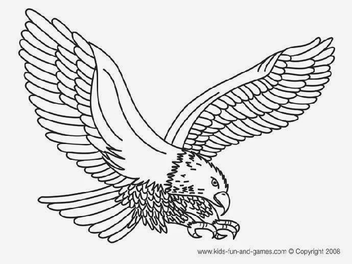 Bald Eagle Coloring Page Luxury Bald Eagle Catching Fish Coloring 689x517 Bald Eagle Coloring Page Luxury Bald Eagle Catching Fish Coloring