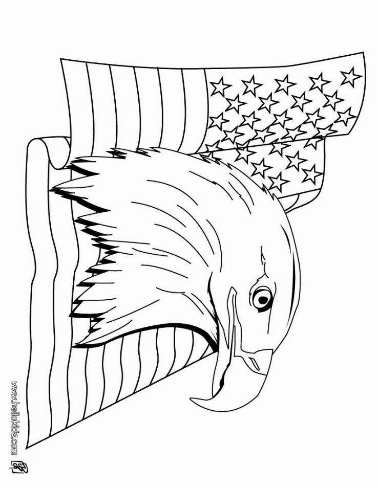 738x954 Bald Eagle Coloring Pages Coloring Pages Bald