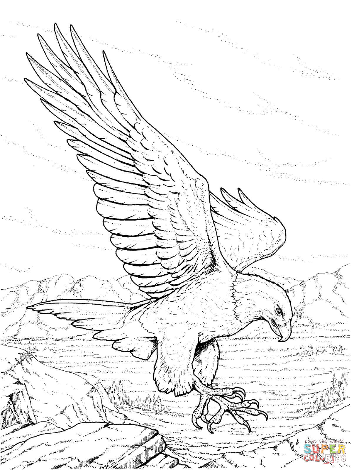 1200x1600 Bald Eagle Coloring Pages Free Coloring Pages Bald Eagle Coloring