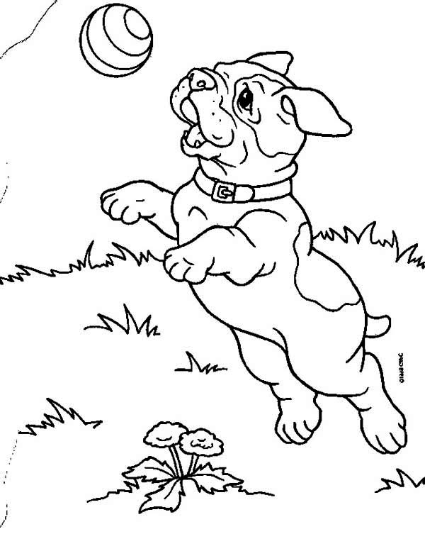 600x753 Interesting Design Bulldog Coloring Pages Puppy Bulldog Puppy