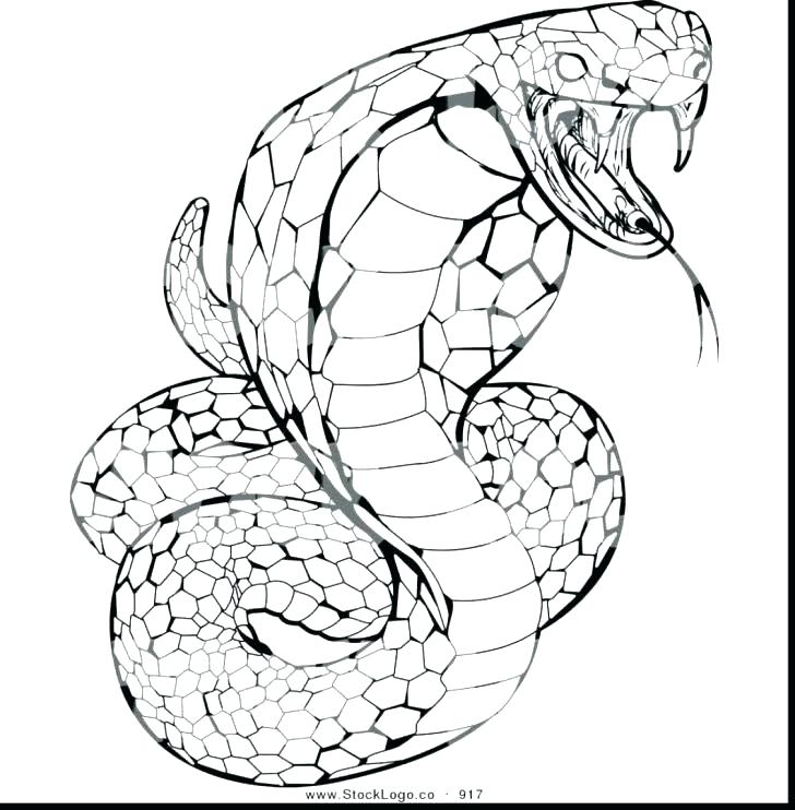 Ball Python Coloring Pages at GetColorings.com | Free printable ...