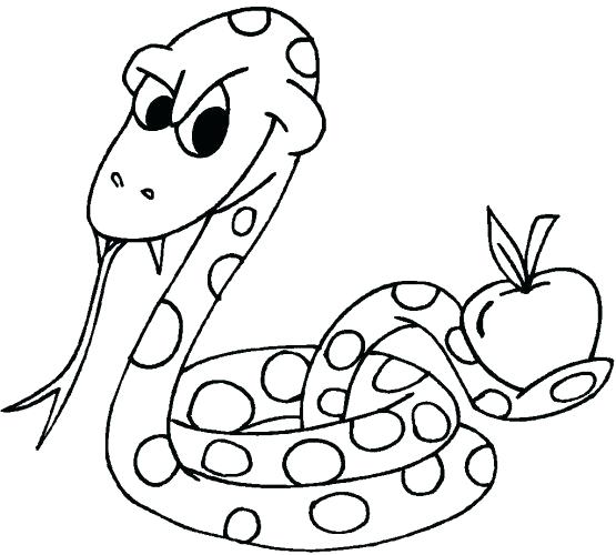 Ball Python Coloring Pages Medium Size Of Rattlesnake Coloring 555x500 Ball Python Coloring Pages Medium Size Of Rattlesnake Coloring