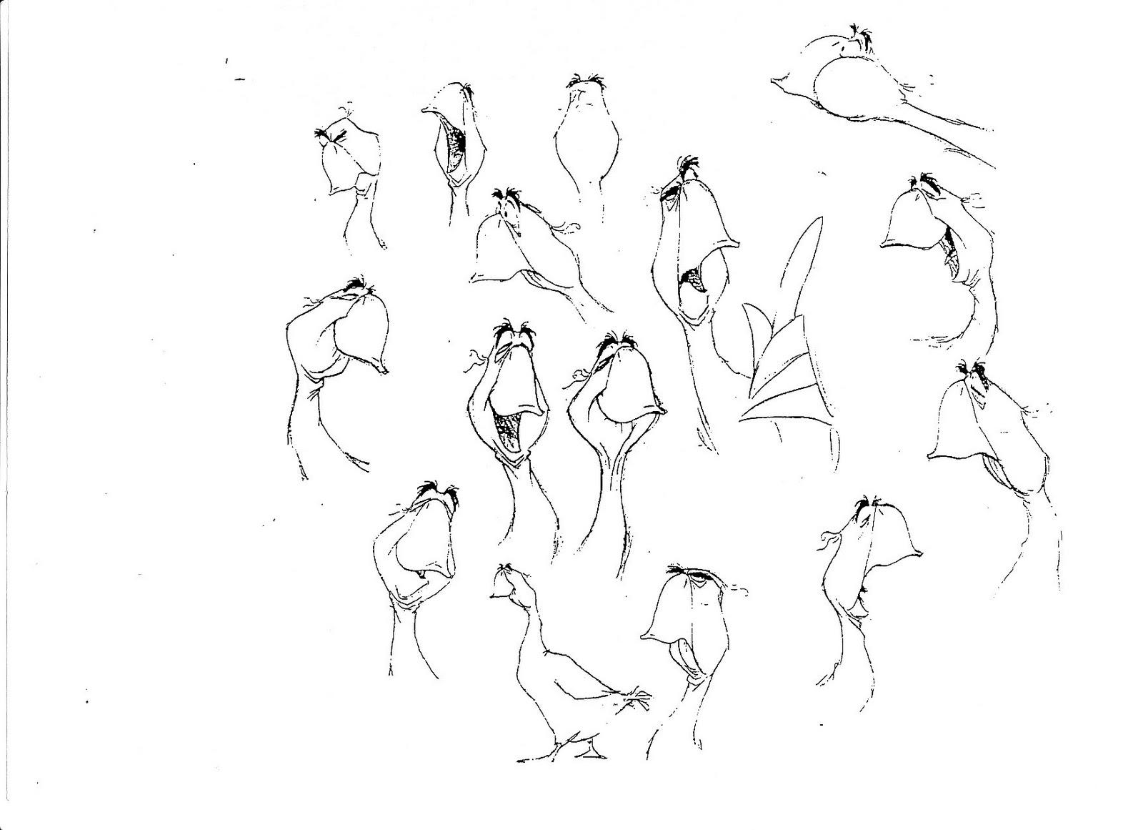 1600x1161 Colorful Balto Coloring Pages Motif