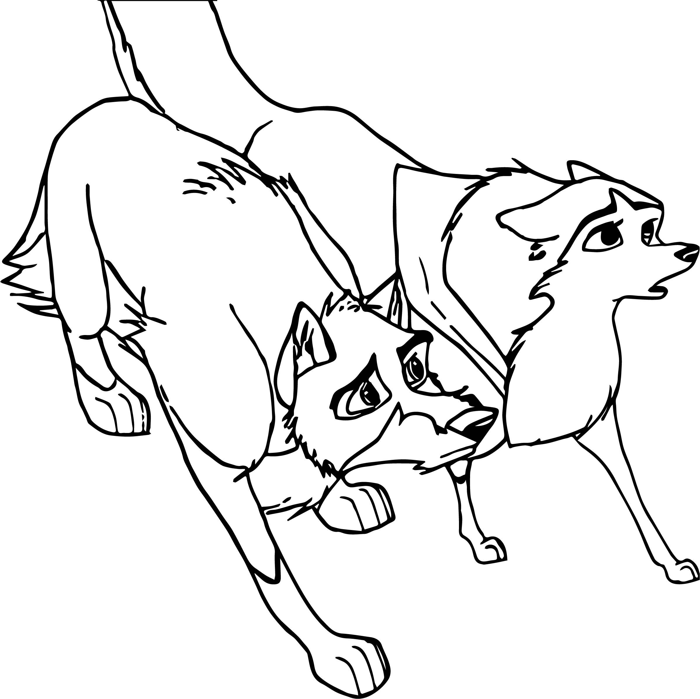 2396x2391 Balto And Jenna What Wolf Coloring Page Wolf