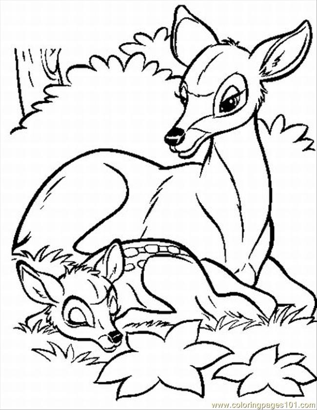 Bambi Coloring Pages 2 Lrg Coloring Page 650x841 Bambi Coloring Pages 2 Lrg Coloring Page