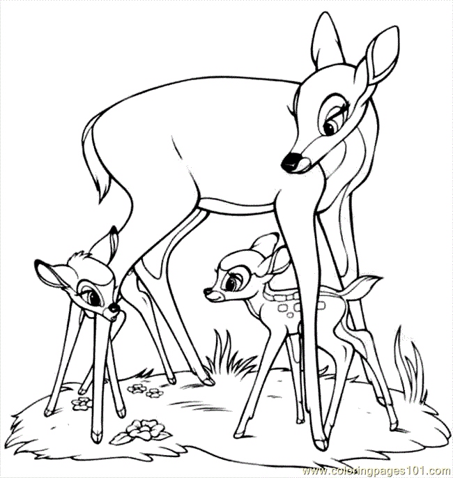 Bambi Coloring Pages Awesome 2 Free Disney Bambi And Butterfly 650x686 Bambi Coloring Pages Awesome 2 Free Disney Bambi And Butterfly