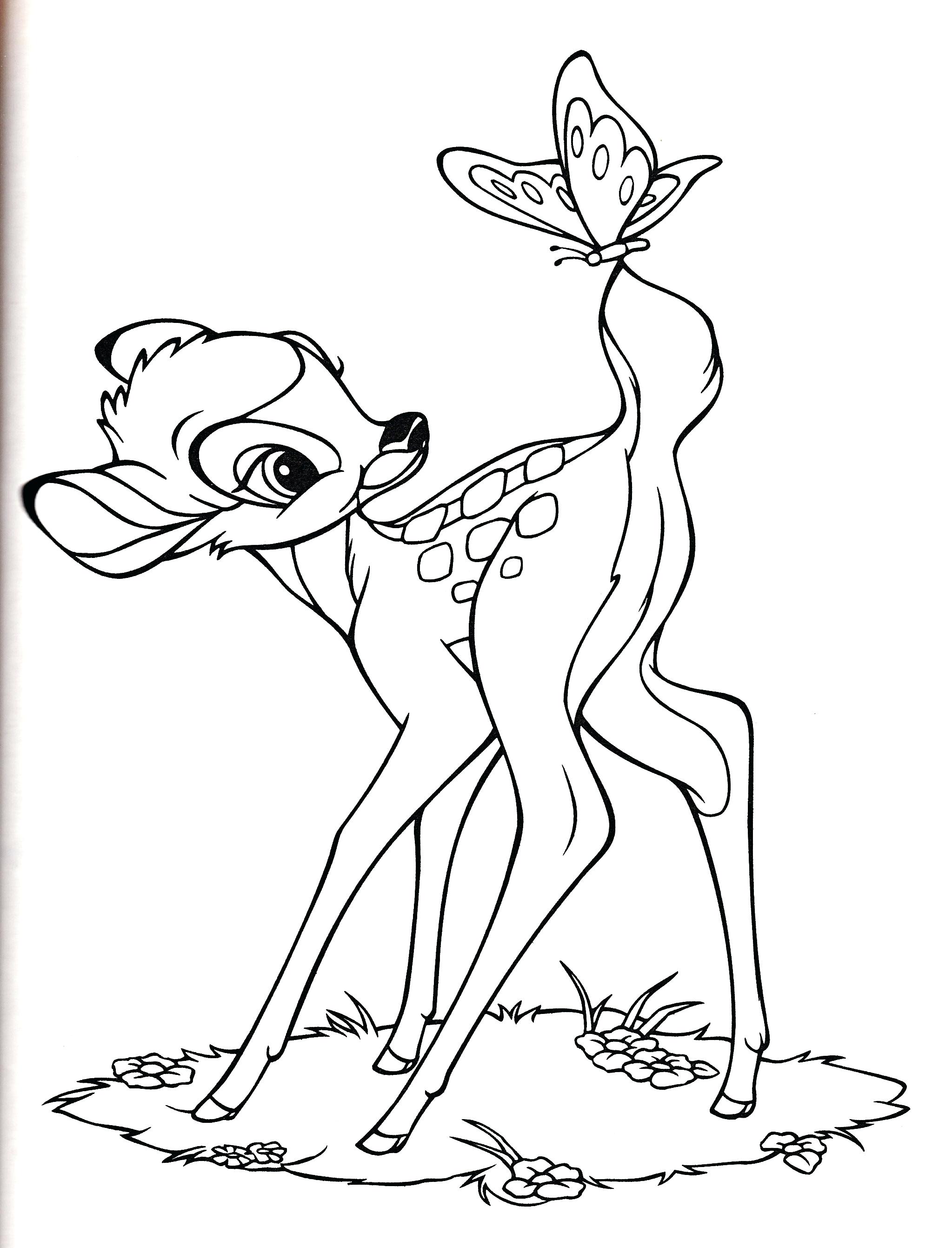Bambi Coloring Pages Images Within 2047x2682 Bambi Coloring Pages Images Within