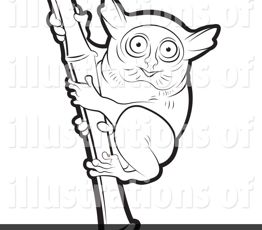 1024x900 Friendly Female Koala Coloring Page Tarsier For Kids General