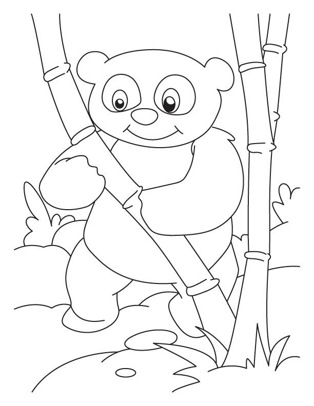612x792 Bamboo Lover Panda Coloring Pages String Art Panda