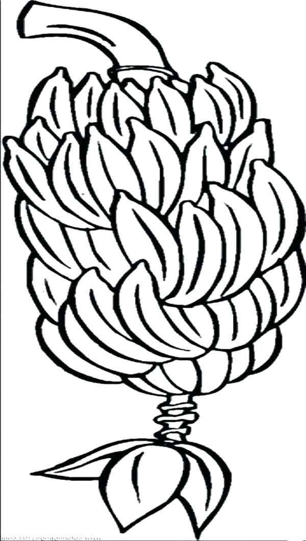 600x1062 Banana Coloring Pages Impair.co