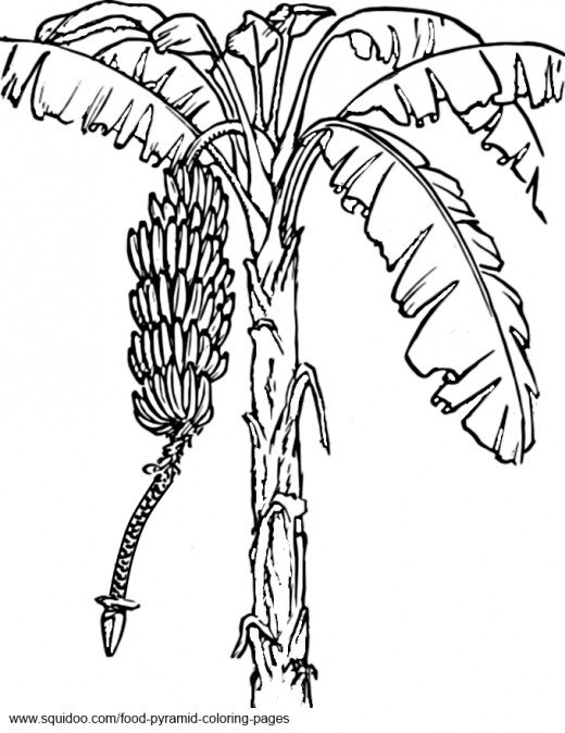 Banana Tree Coloring Page