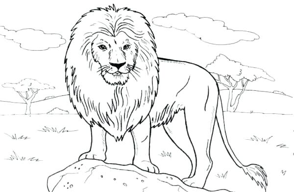 Rock Coloring Pages Lion Standing On A Rock Coloring Page Kiss 600x393 Rock Coloring Pages Lion Standing On A Rock Coloring Page Kiss