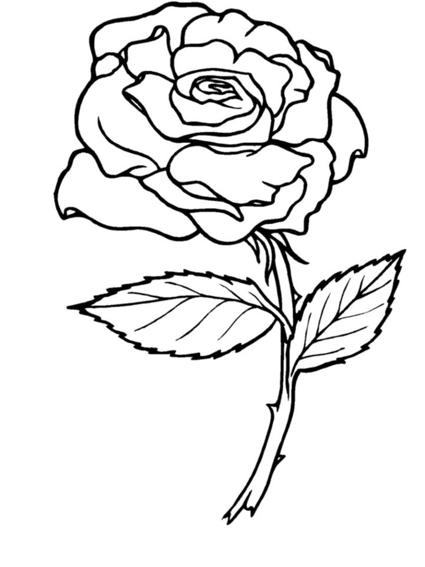 Heart Rose Banner Colouring Pages 852x1136 Heart Rose Banner Colouring Pages