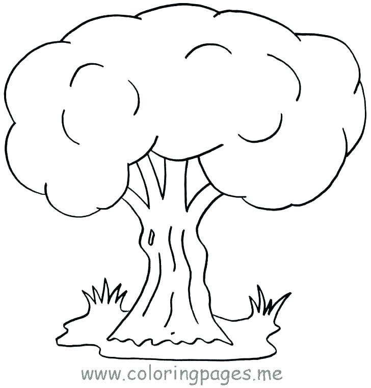 Banyan Tree Colouring Pages at GetColorings.com | Free printable ...