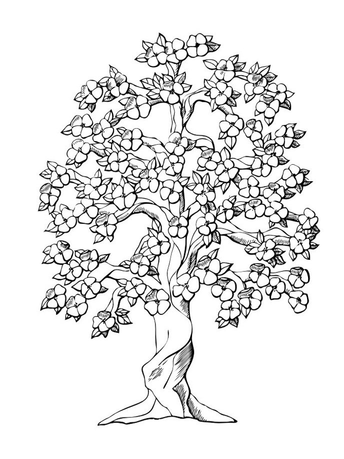 688x917 Christmas Tree S Coloring Pages For Kids And For Adults Coolage
