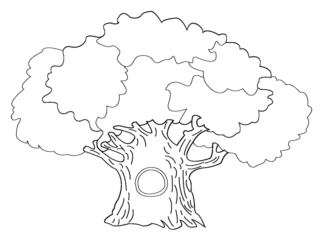 1024x784 Tree Coloring Pages
