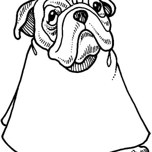 300x300 Find The Best Coloring Pages Resources Here!