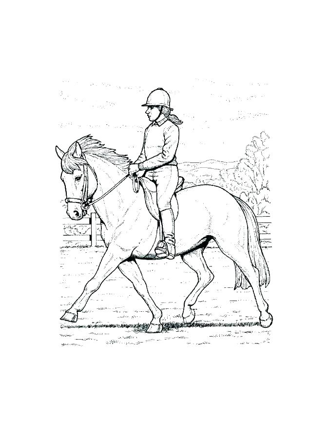671x869 Horse Head Coloring Pages Free Horse Coloring Pages Best Horse