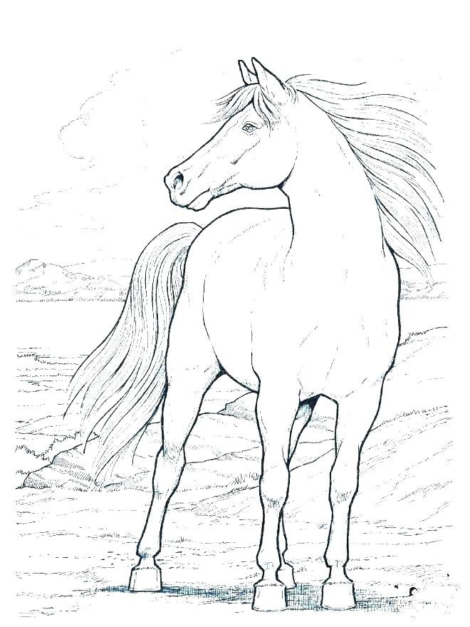 Spirit Horse Coloring Pages Barbie Horse Coloring Pages Horse 660x880 Spirit Horse Coloring Pages Barbie Horse Coloring Pages Horse
