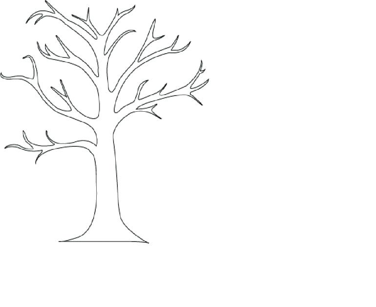 Bare Tree Coloring Page Tree Without Leaves Coloring Page Tree 770x629 Bare Tree Coloring Page Tree Without Leaves Coloring Page Tree