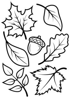 Bare Tree Without Leaves Coloring Pages 236x334 Bare Tree Without Leaves Coloring Pages