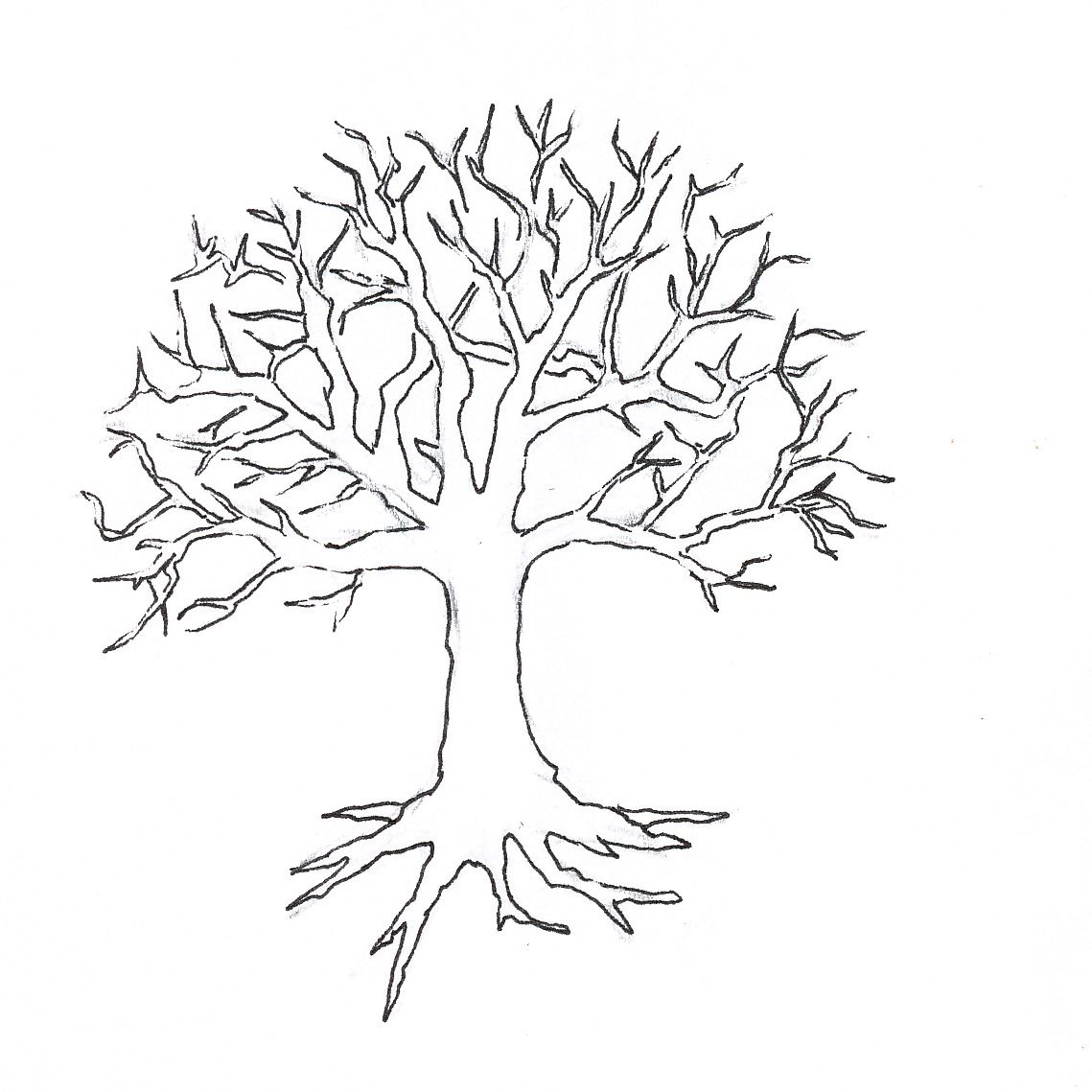 Coloriage Arbre Imprimer Pour Les Enfants 1139x1139 Coloriage Arbre Imprimer Pour Les Enfants