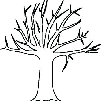 Coloring Pages Of Trees Without Leaves Tree Without Leaves Of Bare 350x350 Coloring Pages Of Trees Without Leaves Tree Without Leaves Of Bare
