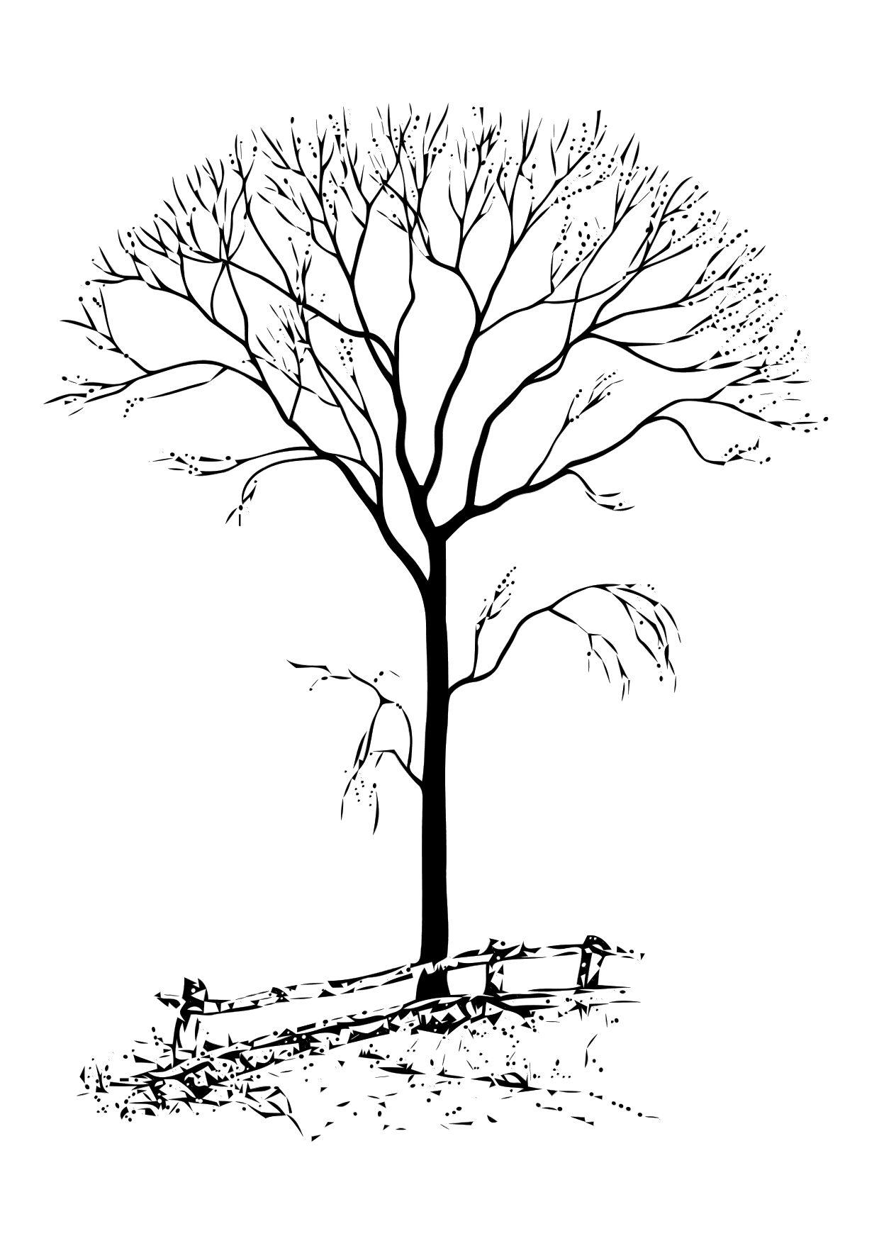Coloring Page Bare Tree 1240x1750 Coloring Page Bare Tree