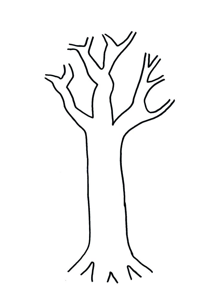 Bare Tree Coloring Page Pages Simple Bare Tree Outline Bare Tree 736x952 Bare Tree Coloring Page Pages Simple Bare Tree Outline Bare Tree