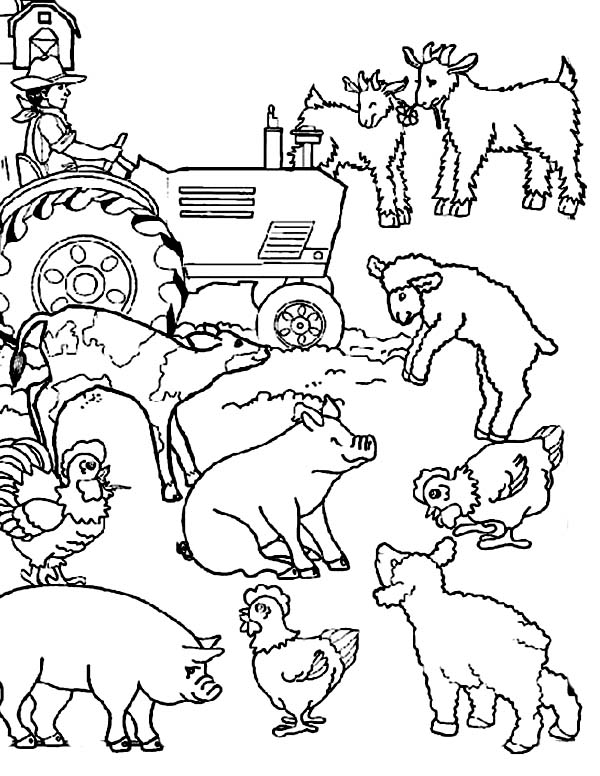 Farm Animal, Farm Animal Activities Coloring Page Coloring 600x776 Farm Animal, Farm Animal Activities Coloring Page Coloring