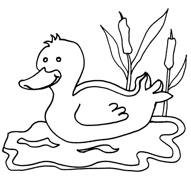 Barn Animals Coloring Pages at GetColorings.com | Free printable ...