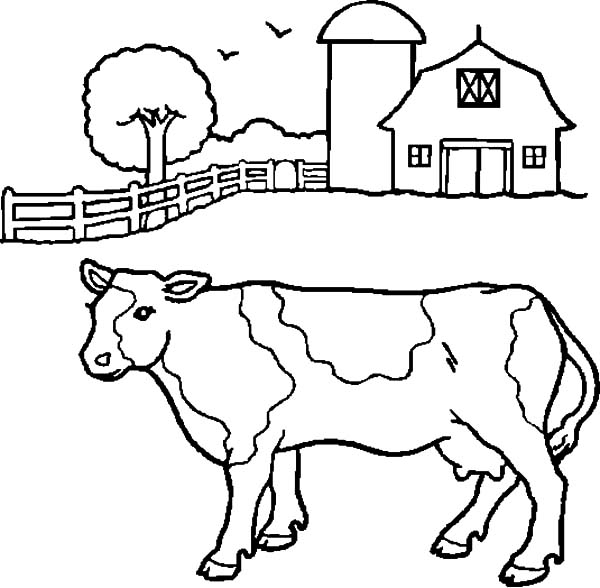 600x588 Dairy Cow In Front Of Barn Coloring Pages