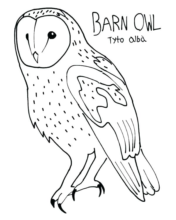600x750 Barn Coloring Page S Barn Coloring Pages For Toddlers