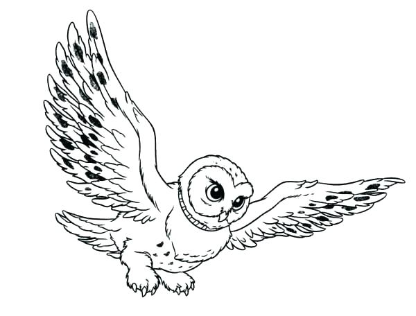 Barn Owl Coloring Page Barn Owl Coloring Page Barn Owl Coloring 600x456 Barn Owl Coloring Page Barn Owl Coloring Page Barn Owl Coloring