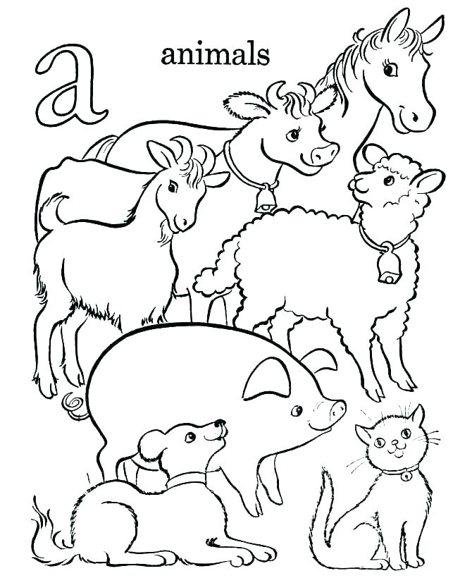 Barnyard Animals Coloring Pages