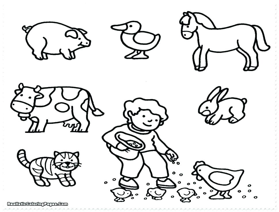 Farm Animal Pictures To Color 970x737 Farm Animal Pictures To Color