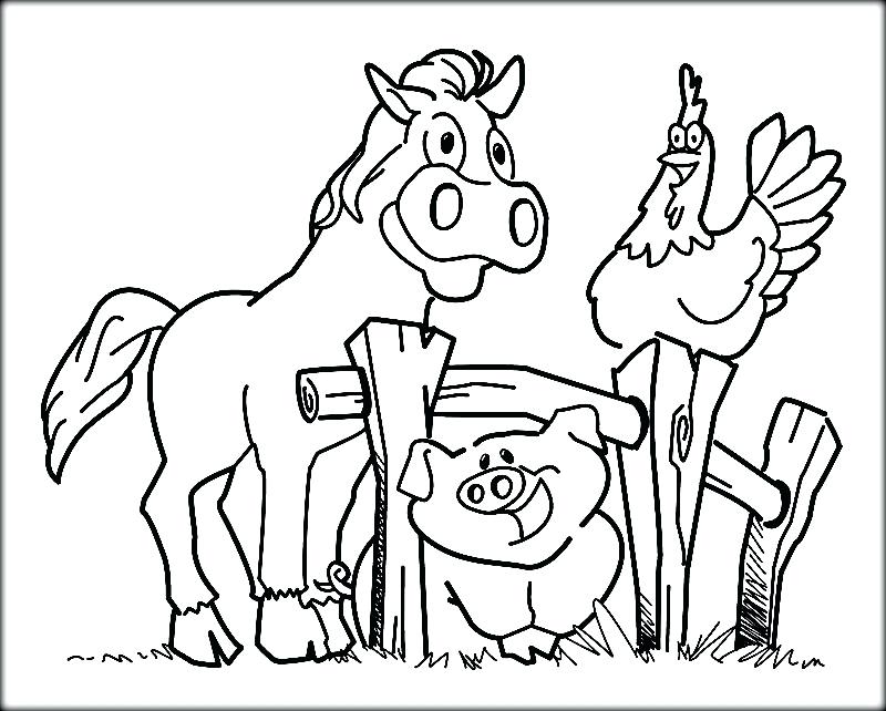 Barnyard Animals Good Farm Animals Coloring Pages 800x642 Barnyard Animals Good Farm Animals Coloring Pages