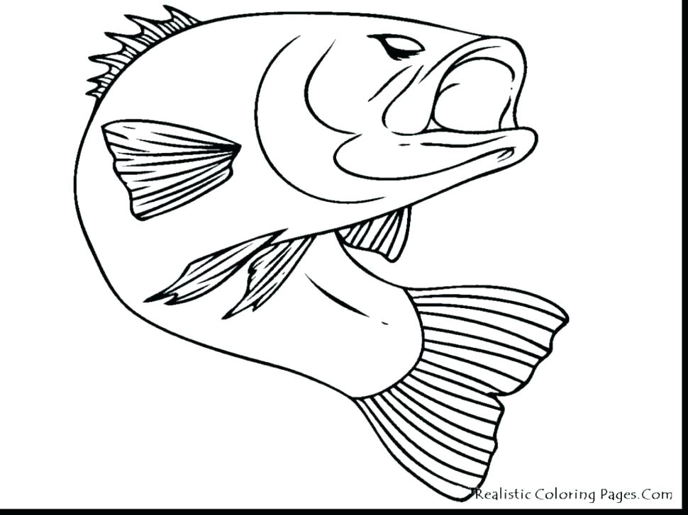 970x727 Realistic Fish Coloring Pages Realistic Fish Coloring Pages Ocean