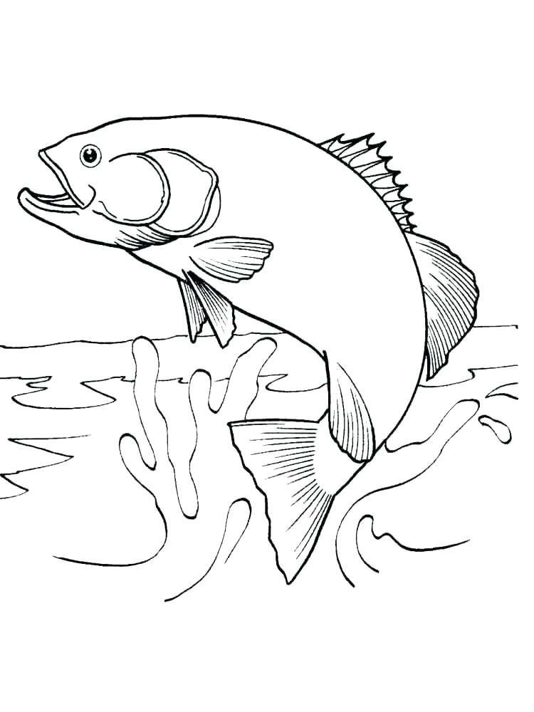 750x1000 Salmon Coloring Pages Salmon Coloring Page Salmon Coloring Pages