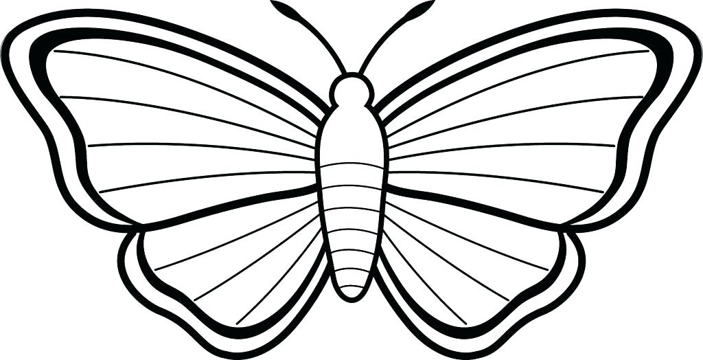 Simple Butterfly Coloring Pages Also Simple Butterfly Coloring 1024x524 Simple Butterfly Coloring Pages Also Simple Butterfly Coloring