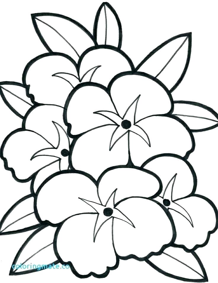 Simple Coloring Pages Flowers 736x956 Simple Coloring Pages Flowers