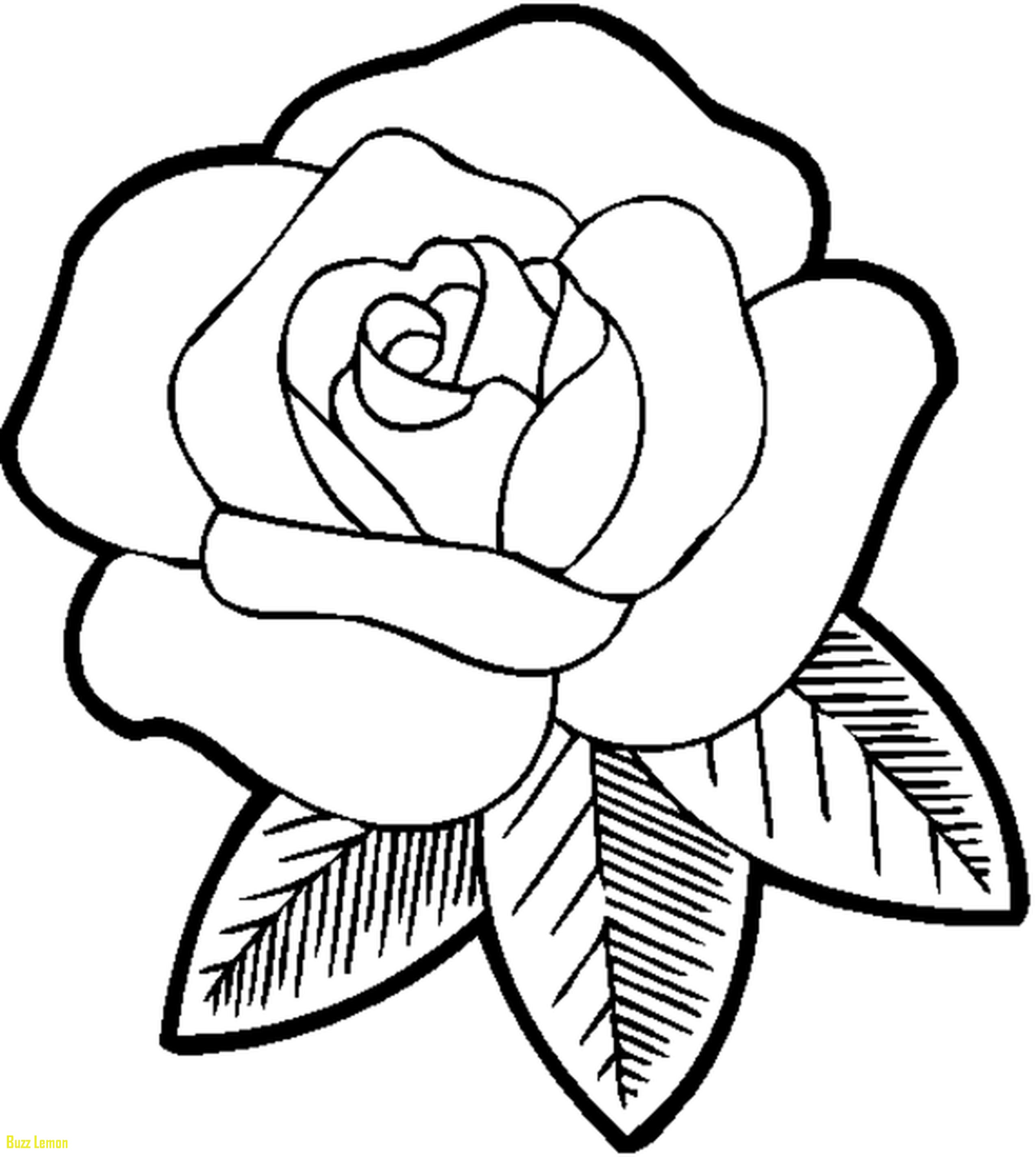 Easy Coloring Best Of Easy Flower Coloring Pictures Coloring Page 2550x2849 Easy Coloring Best Of Easy Flower Coloring Pictures Coloring Page